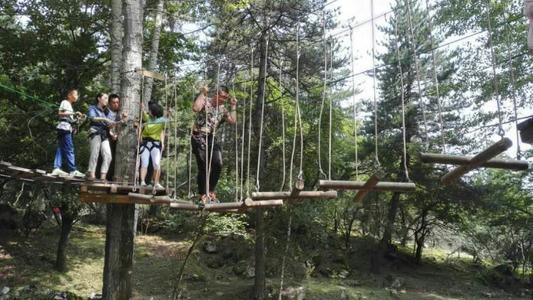 叢林穿越，清涼一夏