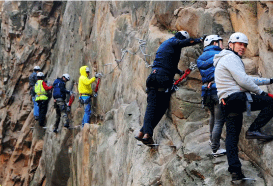 b3d68218eccf5afd9501195cc72b1f7e.png b3d68218eccf5afd9501195cc72b1f7e.png