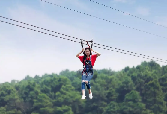 f39ffc1a1c61090771b1946a1484bbd6.png f39ffc1a1c61090771b1946a1484bbd6.png