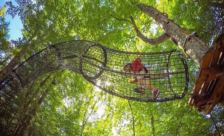 68b3eee96a462e35bb1b9922dbe8b414.jpg 68b3eee96a462e35bb1b9922dbe8b414.jpg