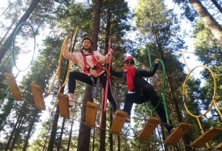 b934fa6aab6fee3371c6f78ef8de34f7.jpg b934fa6aab6fee3371c6f78ef8de34f7.jpg