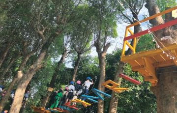 森林主題游樂園適合引入哪些游樂項目？