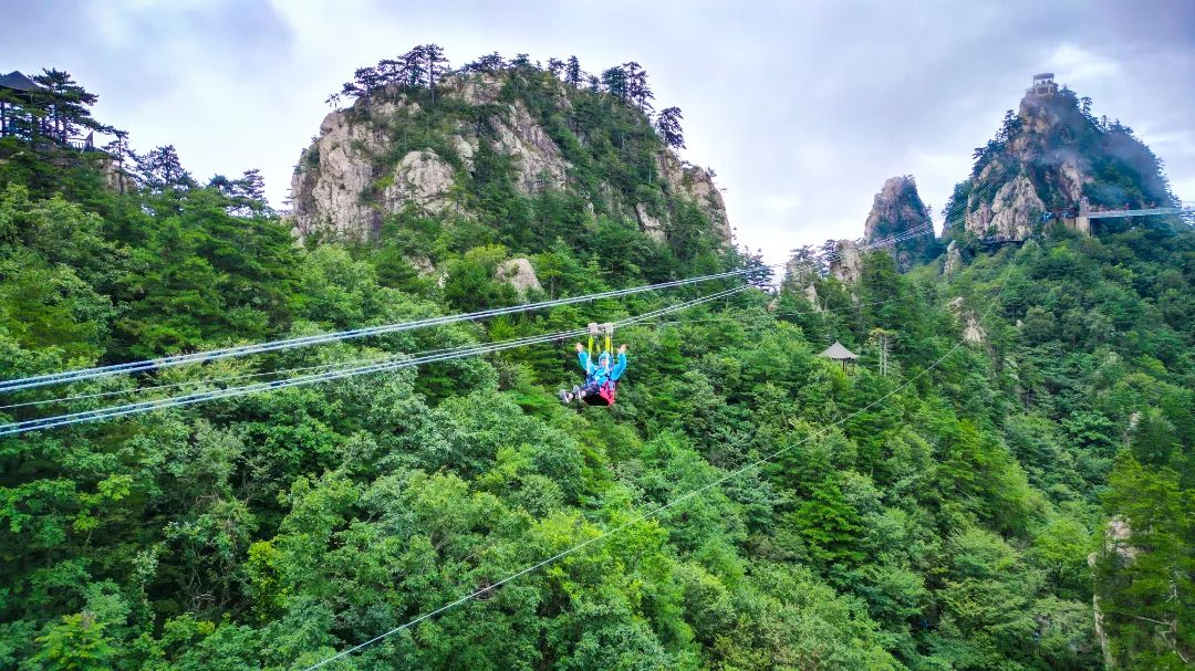 547bb168fc7990e4d62b84d24dc02d7e.jpg 547bb168fc7990e4d62b84d24dc02d7e.jpg