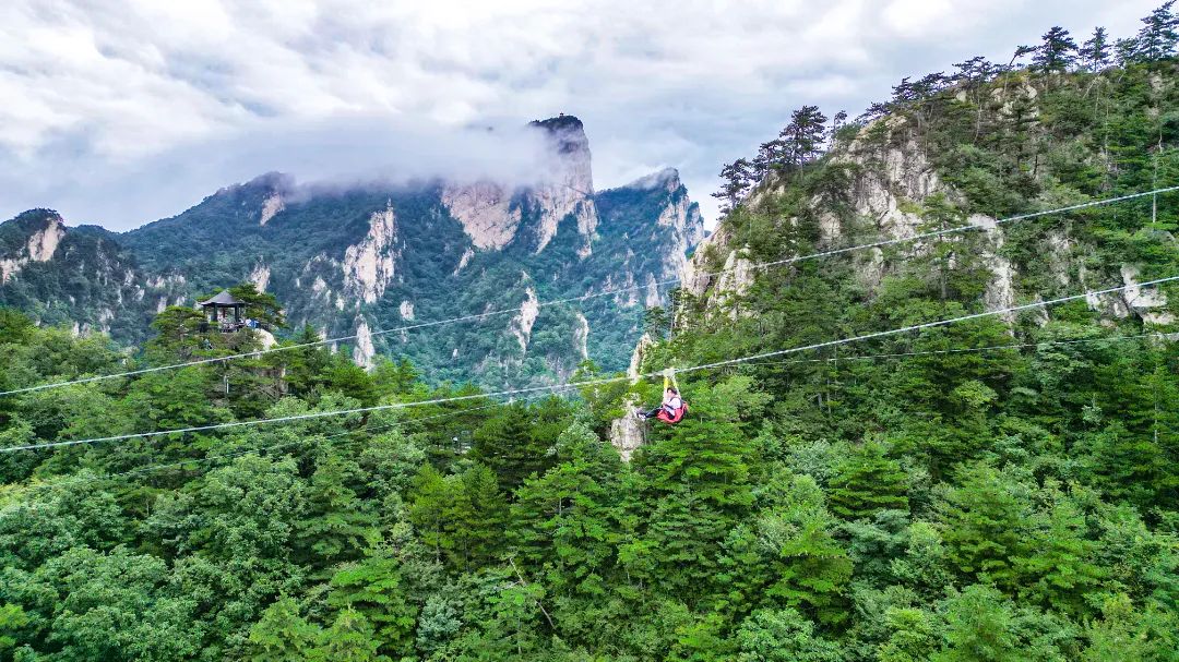 acf7f6d0752b16b7488bbaae36b227f0.jpg acf7f6d0752b16b7488bbaae36b227f0.jpg